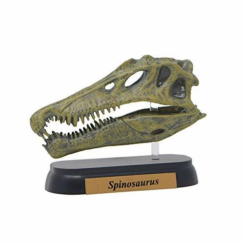 Favorite Spinosaurus Skull Dinosaur Mini Model Figure Designed by H.tokugawa