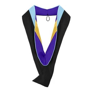 Endea Graduation Masters Hood For Education - Light Blue/Purple/Gold - Picture 1 of 6