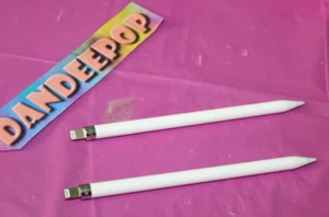 2 Piece Apple Pencil Stylus OEM Computer Tablet Writing Drawing Accessory - Picture 1 of 9