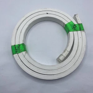 ENVIRONMENTAL LIGHT Neon Flexible Led Strip BRG DC 24V 15mm C-FR-F15A- 6 Feet ⭐ - Picture 1 of 9