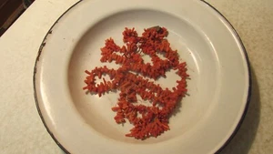 Old Red Coral Jewelry Parts - Picture 1 of 1