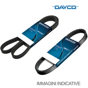 Cinghia Poly-V Dayco per Auto/LCV Prodotto Originale 7PK2711 - Foto 1 di 2