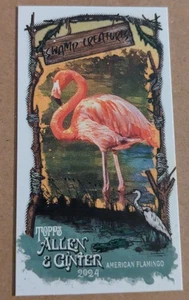 2024 Topps Allen & Ginter American Flamingo Swamp Creatures Mini - Picture 1 of 1