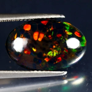 3.23 ct Lovely Oval Cabochon (17 x 11 mm) Ethiopian Flashing Black Opal - Picture 1 of 2