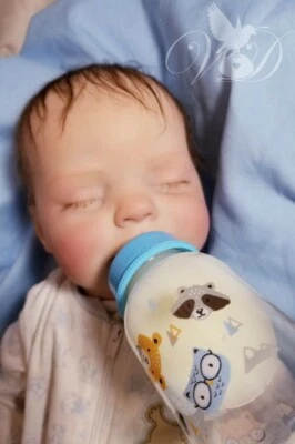 New Bountiful Baby "Heather" 💗 Sleeping Reborn Baby Boy, 5lbs 7oz, 21" long - Image 1 of 4