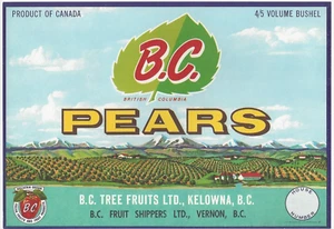 Original BC Birnenkiste Etikett BC Fruit Vernon British Columbia Kanada - Bild 1 von 1