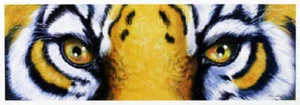 LSU FÚTBOL BENGALÍ TIGRES JAUBERT OJOS DE TIGRE MINI IMPRESIÓN PANORÁMICA - Imagen 1 de 1