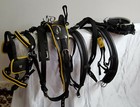 NEW STRONG WEBBING HORSE HARNESS TWO TONE FOR SINGLE HORSE BLACK/ YELLOW 