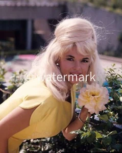 Klassischer Jayne Mansfield 1950er Pin-Up Schauspielerin 8x10 Druck - Bild 1 von 1