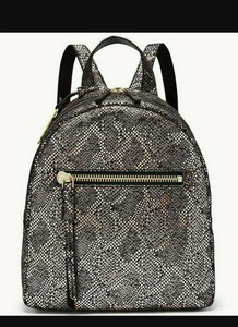 nola backpack fossil
