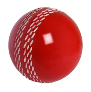 Gray Nicolls Velocity Ball - Picture 1 of 4