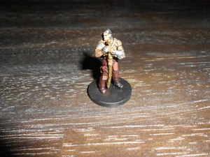 Human Sellsword D&D Miniature Dungeons Dread starter mini Dragons Pathfinder - Picture 1 of 1