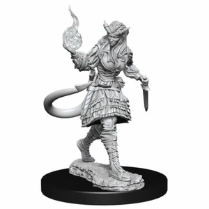 Dungeons and Dragons Nolzur's Marvelous Miniatures: Wave 15: Tiefling Sorcerer - Picture 1 of 1