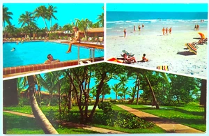 Silver Sands Oceanfront Motel Florida cartolina d'epoca cromata spiaggia piscina palma - Foto 1 di 2