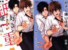 Japanese Manga Kadokawa B'S LOVEY Comics hate the four corners favorite is a...