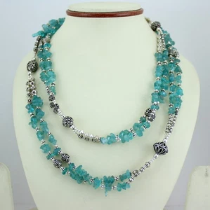 Collar Piedras Preciosas Apatita Natural Chips Cuentas Hecho a Mano Moda Joyería Larga - Imagen 1 de 1