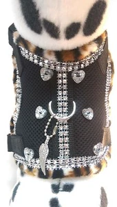 Hundegeschirr S mit Glitzer, schwarz Meshgewebe Leo Herzen Softgeschirr - Bild 1 von 5