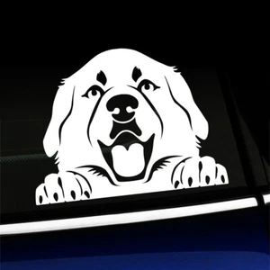 Peeking Great Pyrenees - Pyrenean Mountain Dog Decal - You choose the color - Bild 1 von 26