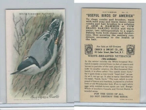 J9-5, Church & Dwight, Useful Birds America 9th Ser., 1925, #15 White-b Nuthatch - Bild 1 von 1