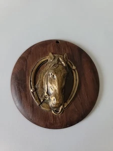 Colgante de herradura con cabeza de caballo de latón Ironwood vintage o acento de pared - Imagen 1 de 9