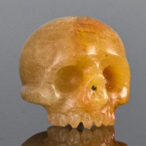 11.34mm Human Skull Bead Carved Agatized Fossil Coral Bead Vertical drilled 1.8g - Picture 1 of 14