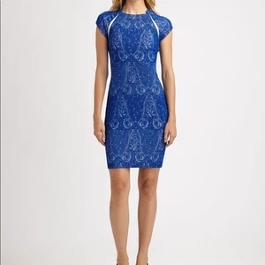 Vestido Vaina Yigal Azrouel NY Resort 2013 Colección Azul Paisley Jacquard, 10 - Imagen 1 de 8