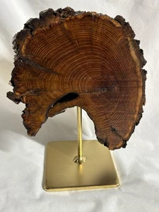 "Escultura artística de madera natural real Osage naranja corteza viva soporte de acero en tono dorado 8""" - Imagen 1 de 12