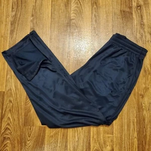 Vintage 90s Nike Pants Men Large Blue Athleisure Zip Leg Gray Tag - Picture 1 of 9