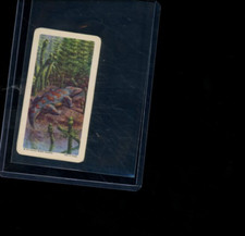 1963 Brooke Bond Red Rose Dinosaurs Seymouria #4