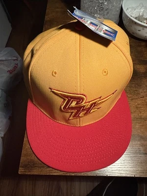 Gorra Chestnut Hill College GRIFFINS Roja The Game Pro Gametek Elastizada XL FIT Foto 1 de 4