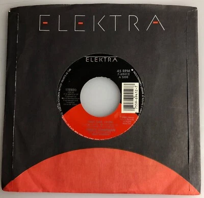Tracy Chapman / Fast Car / Elektra 1988 1st Pressing 45RPM / Mint! Foto 1 de 4