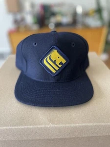 Hat With A Lion Logo - Picture 1 of 4