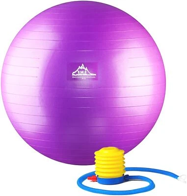 Black Mountain Products Professional Grade Stability Ball, Purple, 55 cm Foto 1 de 2