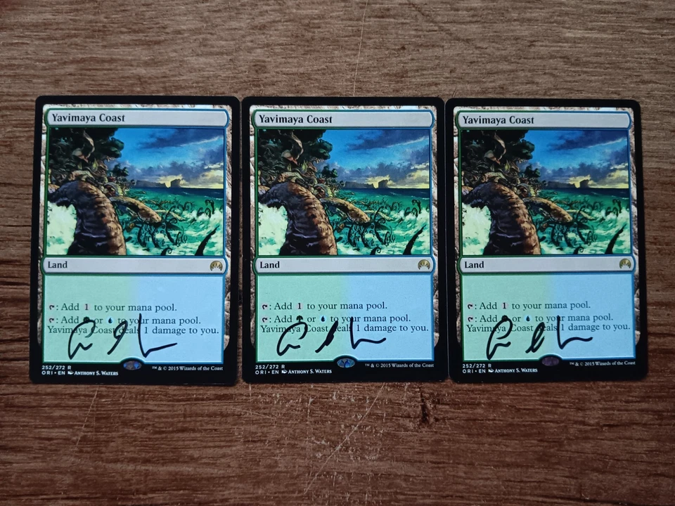 Yavimaya Coast X3   Signed Anthony Scott Waters  MTG Magic the Gathering - Image 1 of 1