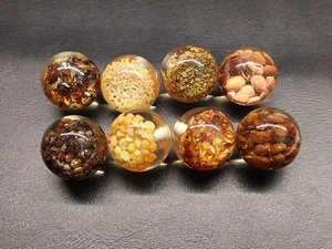 Lot of 8 Vintage Suspended Seeds Herbs Beans Lucite Drawer Pull Cabinet Knobs - Picture 1 of 9