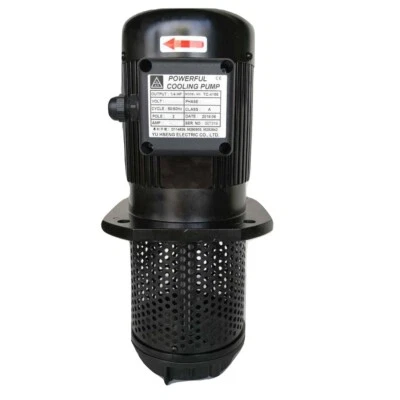 Bomba de refrigerante para máquina de 1/4 HP, eje trifásico 240/480V 155 mm 6", rosca NPT 1/2" Foto 1 de 4