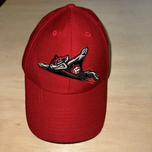 Baseball Cap Mütze der Marke Richmond Squirrels 47 signiert - Bild 1 von 6