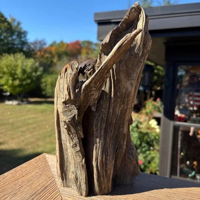 硬木红雪松漂流木 11x4x6 带眼孔烧焦细节水族箱装饰 — 第 1/4 张图片