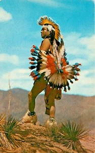 Colorido Vestido Auténtico Indio en el Desierto Nativo Americano Postal - Imagen 1 de 2