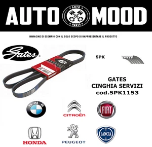 Cinghia Servizi GATES 5PK1153 BMW 8 FIAT -500/500 C PANDA PUNTO HONDA JAZZ II - Imagen 1 de 3