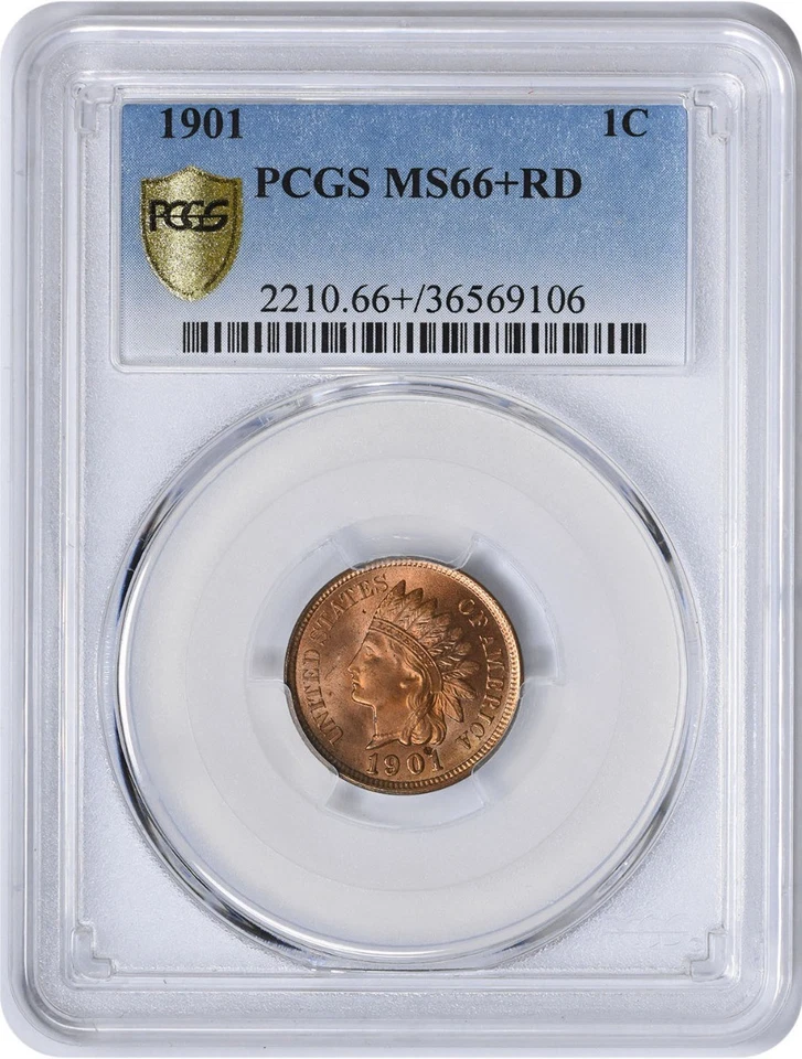 1901 Indian Cent MS66+RD PCGS - Image 1 of 4