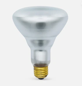 OEM HAYWARD POOL/SPA Pentair White Incandescent FLOOD LIGHT BULB 500W 120V R40 - Picture 1 of 6