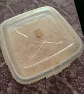 Cepa de microgusano de la avena - Alimento vivo para peces - Imagen 1 de 7