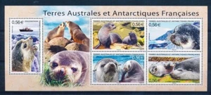 French Antarctic TAAF - "MARINE ANIMALS ~ SEALS ~ WILDLIFE" MNH Mini Sheet 2010 - Picture 1 of 7