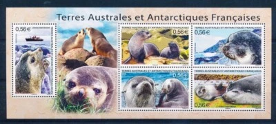 French Antarctic TAAF - "MARINE ANIMALS ~ SEALS ~ WILDLIFE" MNH Mini Sheet 2010 - Image 1 of 4