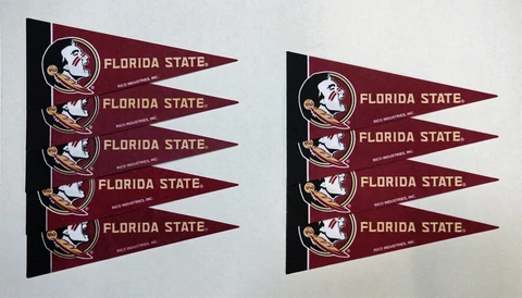 Florida State Seminoles FSU NCAA Mini Pennant Set of 9 - No Retail Packaging Cover