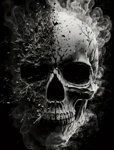 Unisex Size M Black, Gray & White Graphic Skull T-Shirt Silky Satin Feel - Picture 1 of 2