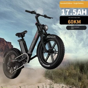 Elektrofahrrad 20-Zoll-Klapprad 48V  20AH - Picture 1 of 16