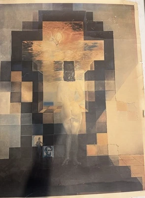 "Litografía texturizada Salvador Dalí Lincoln en Dalivision Jean Paul Loup años 70 32""" Foto 1 de 4