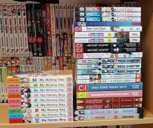 Manga Sammlung Hentai Comedy GL BL Girls Love Ecchi Yaoi Action Shonen Shojo - Bild 1 von 3